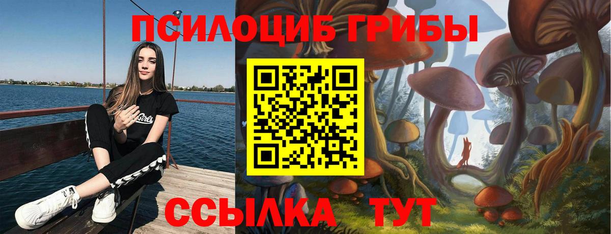 Псилоцибиновые грибы Psilocybe  Вход с VPN  Удомля  Галлюциногенные грибы Psilocybe 
